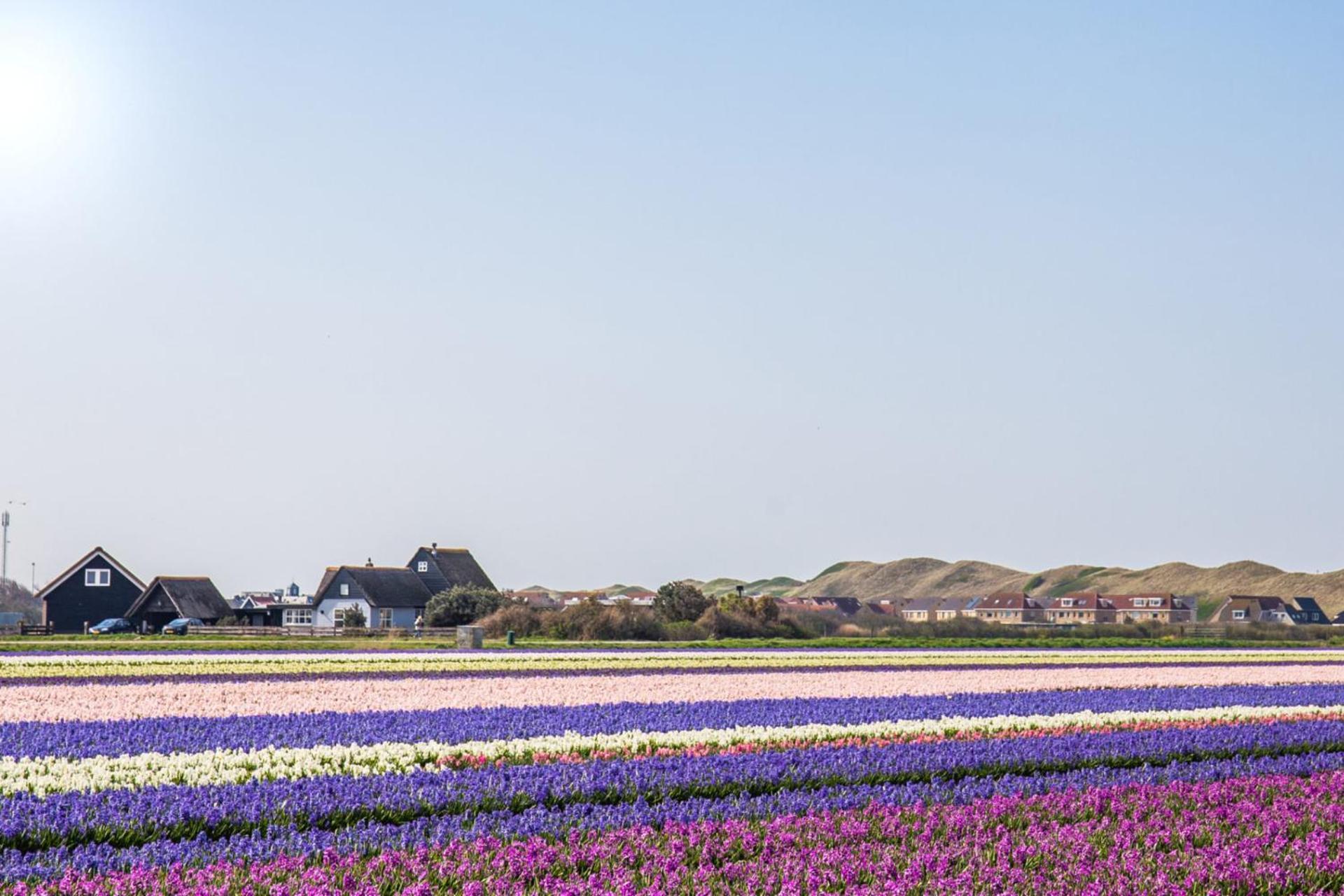 Vakantiehuis Zilt - Julianadorp Aan Zee 외부 사진